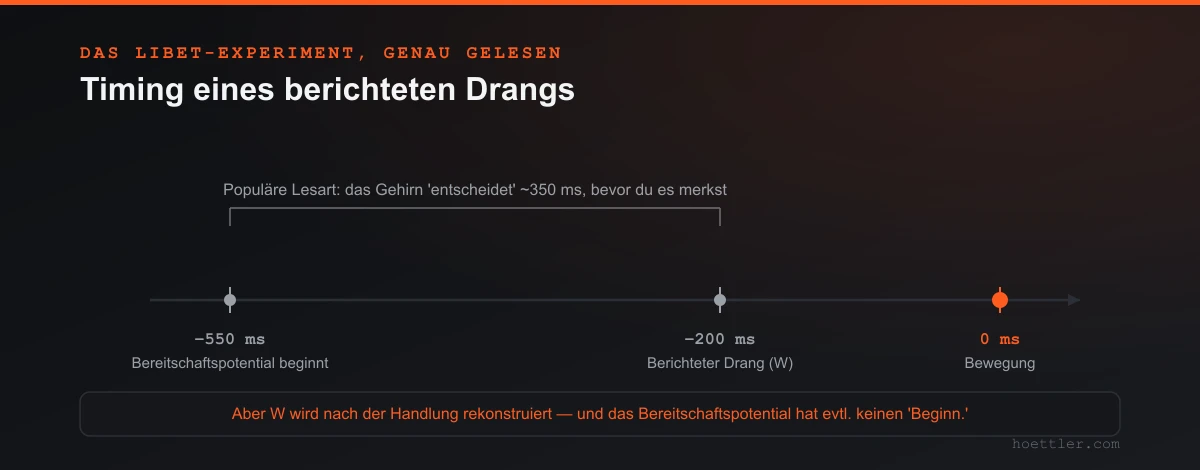 Eine Zeitachse: das Bereitschaftspotential beginnt um etwa minus 550 Millisekunden, der berichtete Drang W um etwa minus 200 Millisekunden, die Bewegung bei null, mit dem Vorbehalt, dass W nach der Handlung rekonstruiert wird und das Bereitschaftspotential evtl. keinen wohldefinierten Beginn hat.