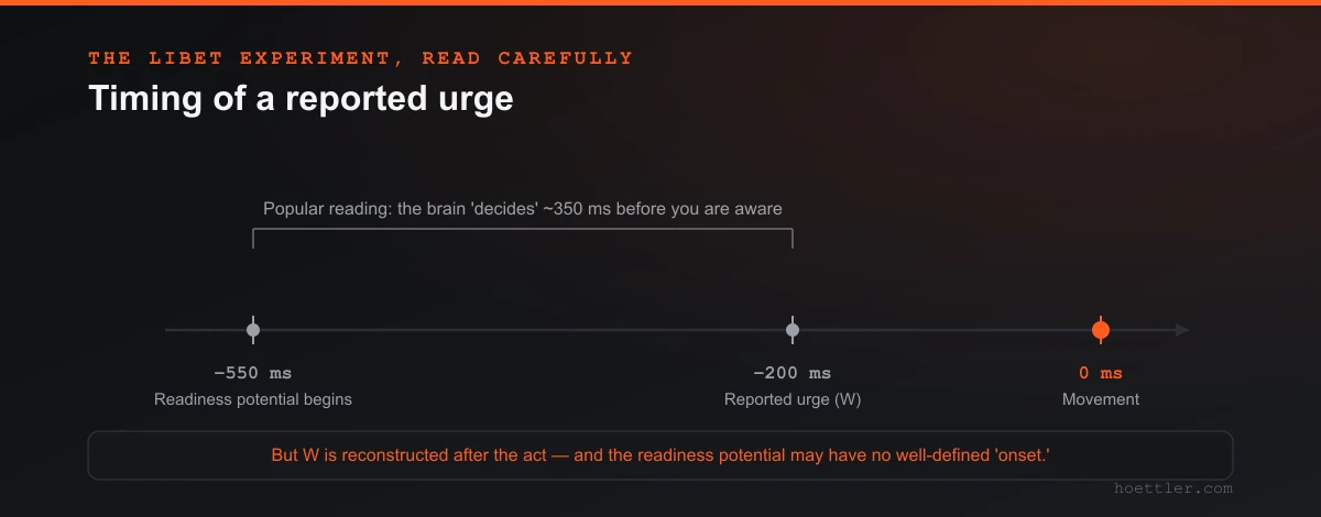 A timeline showing the readiness potential begins around minus 550 milliseconds, the reported urge W around minus 200 milliseconds, and movement at zero, with a caveat that W is reconstructed after the act and the readiness potential may have no well-defined onset.